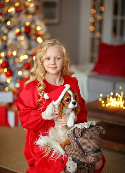 チャーミングブロンド女の子で赤いドレスでクリスマスツリーの背景にある犬の騎兵王チャールズと遊ぶ ロイヤリティフリーのストック写真