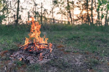 Gün batımında ormanda ateş yanıyor. Orman açıklığında kamp..