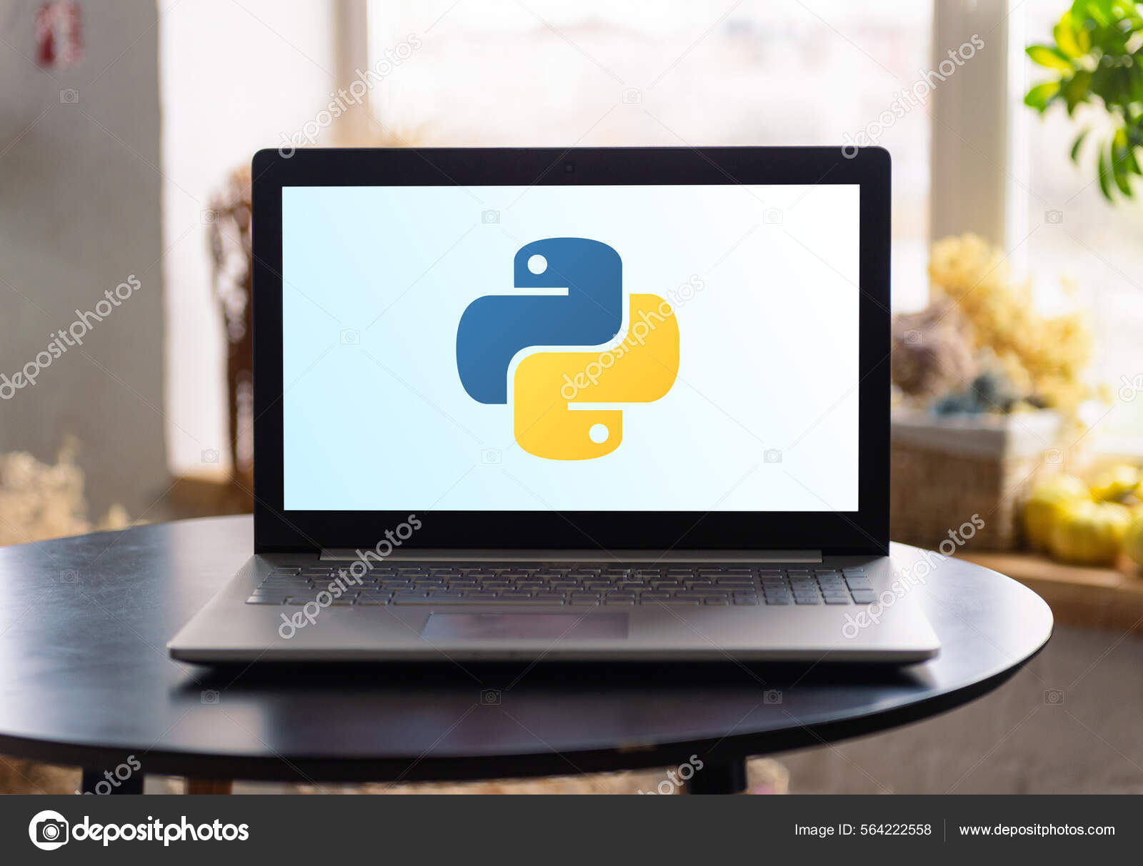 Python Programming Language Logo