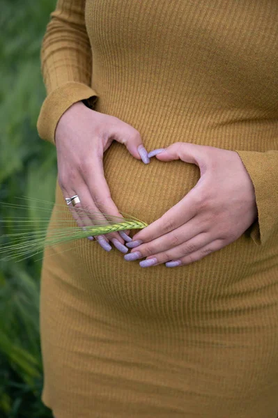 Hamileliğinin Sonlarına Doğru Karnını Tutan Hamile Bir Kadın Elleriyle Kalp — Stok fotoğraf