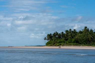 Kuzeydoğu Brezilya 'da boş bir sahil