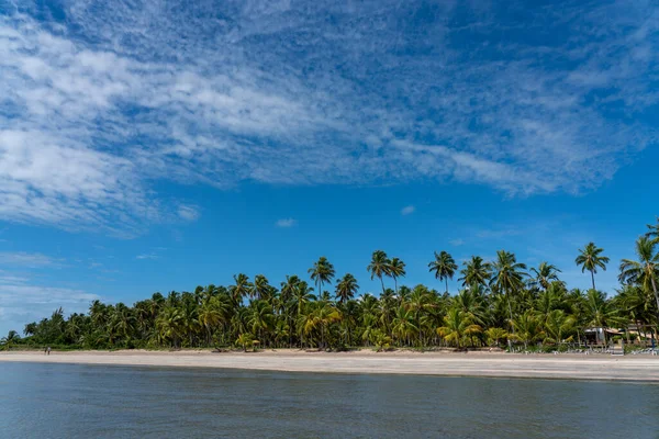Amazing Tropical Beach Northeast Brazil Summer Day — стоковое фото