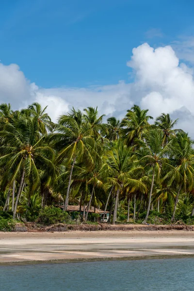 Small House Palm Trees Tropical Beach — Fotografia de Stock