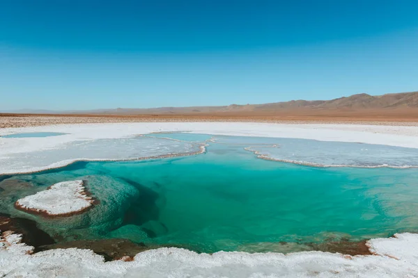 Green Water Lagoon White Salt Edge Empty Desert Chile — Photo