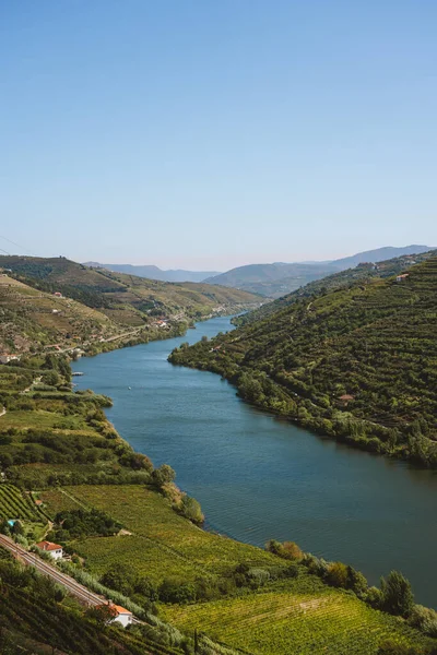Famous Douro River Northern Portugal Blue Sky Day — Stock Photo, Image