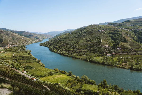Amazing View Douro River Wineries Plantation Some Hotels Farms —  Fotos de Stock