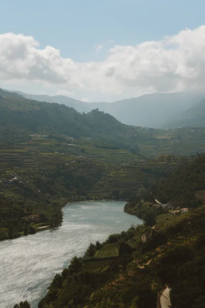 Douro River Green Scenario — Foto de Stock