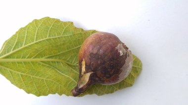 Çürük incirlerin (Ficus carica) yeşil sarı yaprağın üzerinde beyaz arkaplan ile izole edilmiş fotoğrafı.