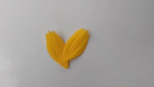 Zbliżenie Zdjęcie Żółtego Wąskiego Liścia Płatków Kwiatów Cynku Angustifolia Cynku — Zdjęcie stockowe