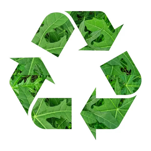 Recycling Symbol Made Green Leaves Image Pattern Earth Day Concept — Stock Photo, Image