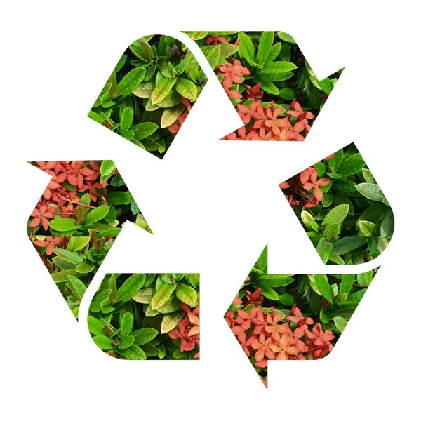 Recycling Symbol Made Green Leaves Image Pattern Earth Day Concept — Stock Photo, Image