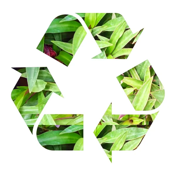 Recyklační Symbol Zelených Listů Obrazový Vzor Koncept Pozemského Dne Návrh — Stock fotografie