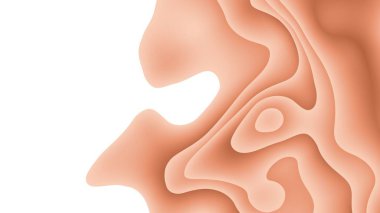 Soyut 3D sakinleştirici mercan rengi kağıt resimleme arka planı. Soyut kağıt kesilmiş, akışkan şekiller. Soyut sıvı sakinleştirici mercan gradyan renkleri. Pankart, sunum, broşür, poster.