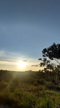 Gün batımında Brezilya 'da bir parkta, bir ağaç ve biraz ot ve taşla birlikte güneşin merkezî görüntüsü..