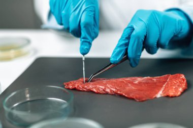 Gıda güvenliği ve kırmızı etin kalite testi. Laboratuvar teknisyeni et örneği alıyor, kapatın..
