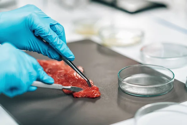 Kontrol Kualitas Makanan Daging Merah Kualitas Kontrol Inspektur Menganalisis Sampel — Stok Foto