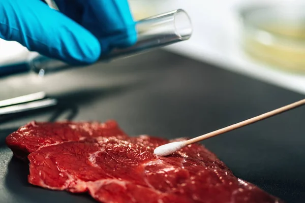 食品安全検査官は 病原体の存在を検索綿棒で赤い肉の表面をサンプリング — ストック写真