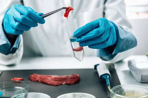 Инспекция Безопасности Пищевых Продуктов Сырого Красного Мяса Лаборатории Эксперт Контролю — стоковое фото