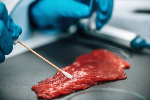 Gestione Della Qualità Alimentare Carne Rossa Microbiologo Testare Campione Manzo — Foto Stock