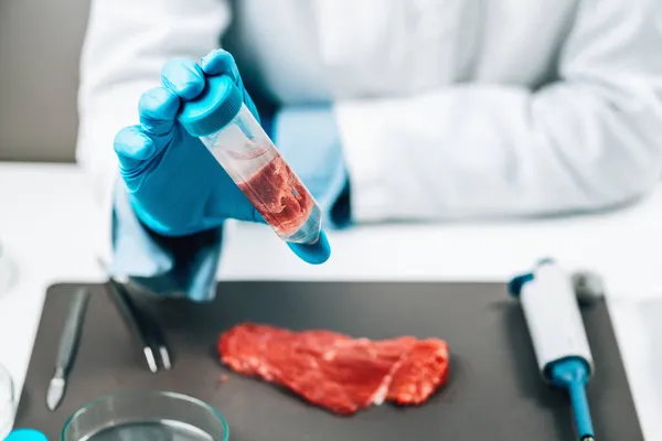 Kontrola Jakości Żywności Czerwonego Mięsa Ocena Sensoryczna Próbki Wołowiny Probówce — Zdjęcie stockowe