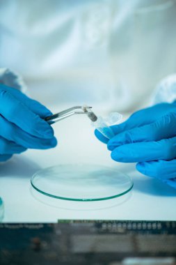 Çip İmplantları ile çalışan laboratuvar teknisyeni