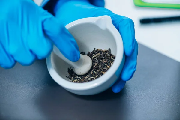 ハーブティーの品質管理 農薬の存在のためのテスト 研究室でお茶のサンプルを準備する技術者 — ストック写真