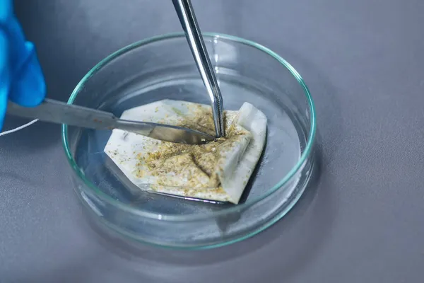 Μικροβιολόγος Που Εργάζεται Στο Εργαστήριο Ασφάλειας Τροφίμων Εξετάζοντας Φακελάκι Τσαγιού — Φωτογραφία Αρχείου