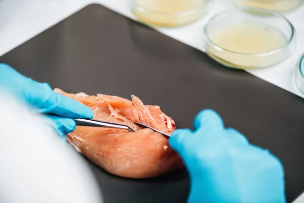 Seguridad Alimentaria Pruebas Calidad Carne Aves Técnico Laboratorio Tomando Una — Foto de Stock