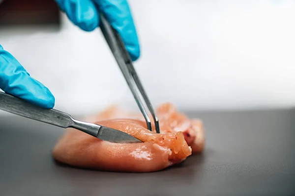 Bezpieczeństwo Żywności Badanie Jakości Mięsa Drobiowego Technik Laboratoryjny Pobierający Próbkę — Zdjęcie stockowe