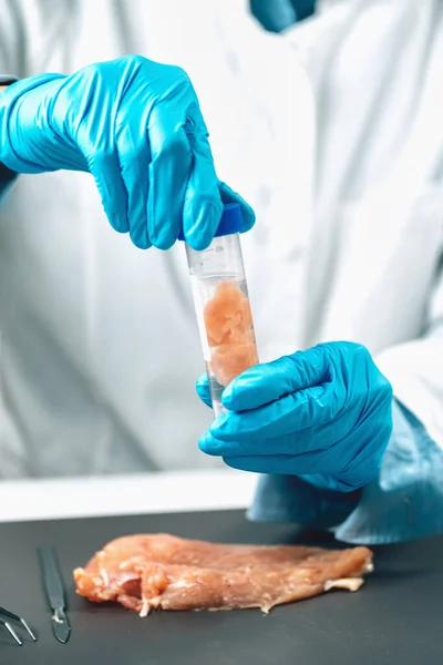 Inspección Seguridad Alimentaria Carne Cruda Pollo Laboratorio Experto Control Calidad — Foto de Stock