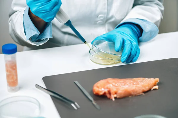 Antibióticos Carne Pollo Inspección Calidad Los Alimentos Laboratorio Científico Examinando — Foto de Stock