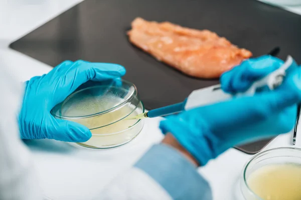 Résidus Antibiotiques Dans Viande Poulet Inspection Qualité Des Aliments Laboratoire — Photo