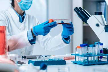 Bilimadamı laboratuarda mikroskop altında yapay et örneği analiz ediyor.