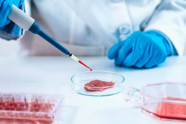 Bilim adamı mikropipetle büyüme serumunu petri kabında et numunesine bırakıyor.