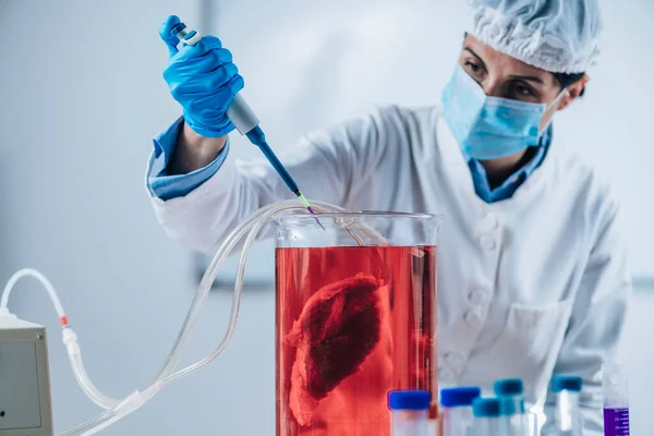 Lab Grown Meat Vitro Meat Food Technology Future — Stock Photo, Image
