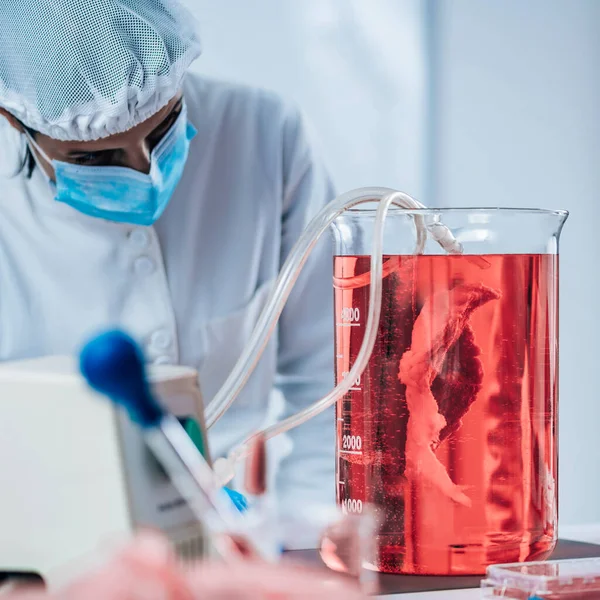 Processo Biotecnologia Com Carne Sintética Cultivada Laboratório — Fotografia de Stock