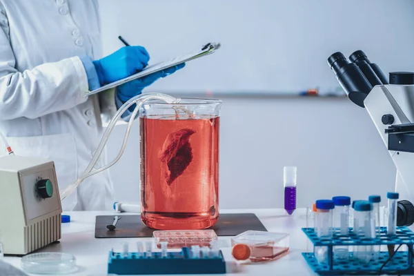 Carne Cultivada Científica Femenina Tomando Notas Laboratorio —  Fotos de Stock