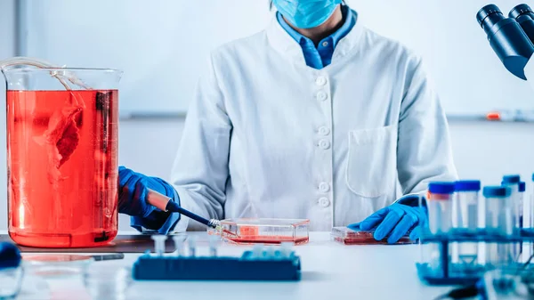 Biotechnology Female Researcher Laboratory Working Cell Culture — Stock Photo, Image