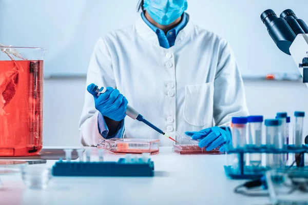 Biotechnology Female Researcher Laboratory Working Cell Culture — Stock Photo, Image