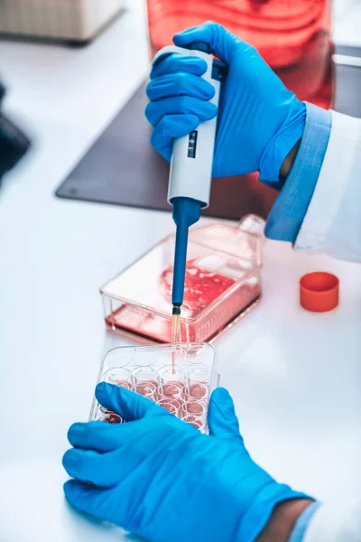 Biotecnología Investigadora Femenina Laboratorio Trabajando Con Cultivo Celular — Foto de Stock