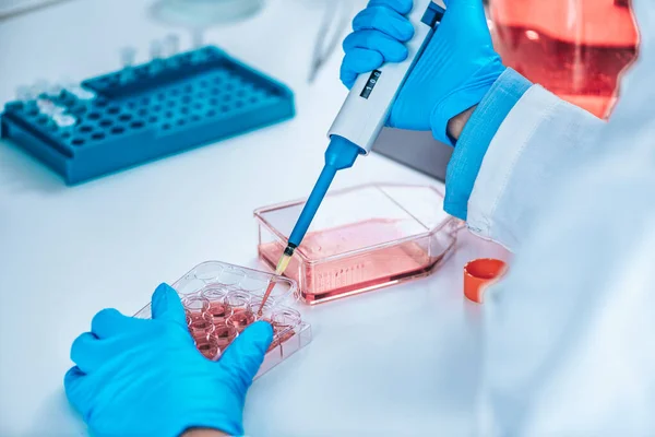 Biotecnología Investigadora Femenina Laboratorio Trabajando Con Cultivo Celular — Foto de Stock