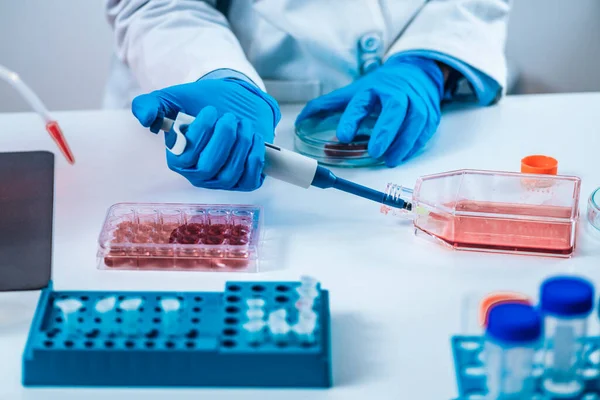 Biotechnology Female Researcher Laboratory Working Cell Culture — Stock Photo, Image