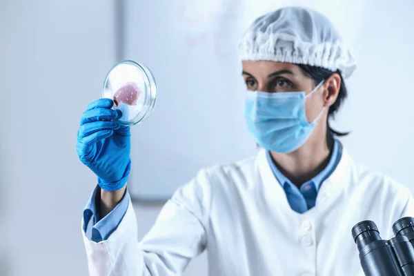 Female Scientist Looking Meat Sample Petri Dish Laboratory — Stock Photo, Image
