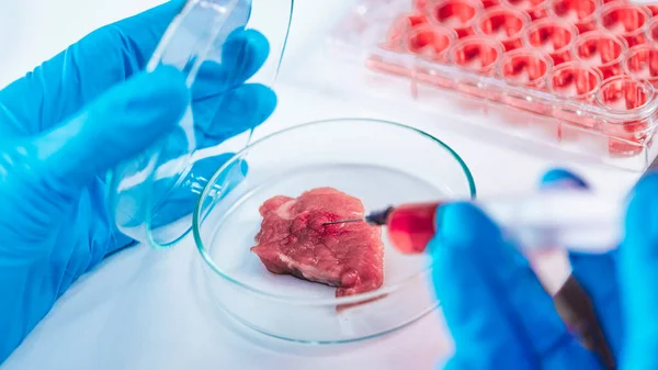 Scienziato Che Inietta Liquido Rosso Con Siringa Nel Campione Carne — Foto Stock
