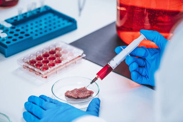 Scientist injecting growth hormone into a meat sample in laboratory