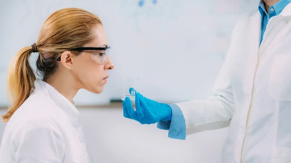 Cientistas Examinam Cheiro Uma Substância Teste Laboratorial Olfato — Fotografia de Stock