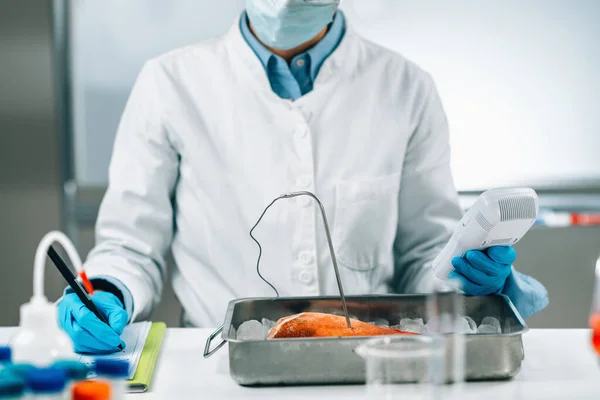 Food Safety Inspector Measuring Concentrations Lead Mercury Cadmium Sea Fish — Fotografia de Stock