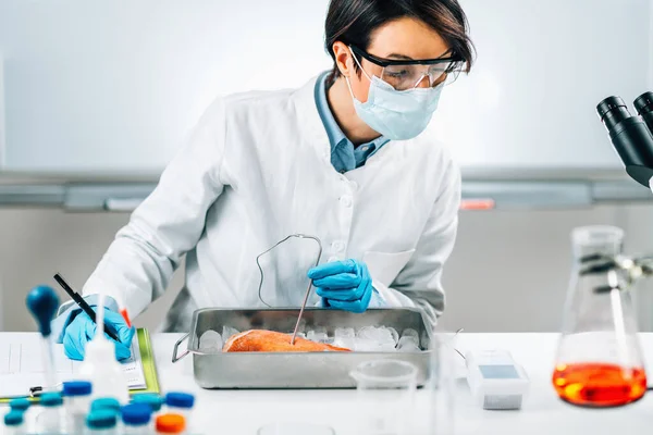 Food Safety Inspector Measuring Concentrations Lead Mercury Cadmium Sea Fish — Stock Photo, Image