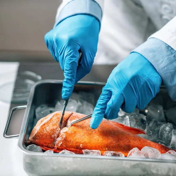 Quality Assessment Raw Fish Microbiologist Cutting Sample Sea Fish Laboratory — Stock Photo, Image