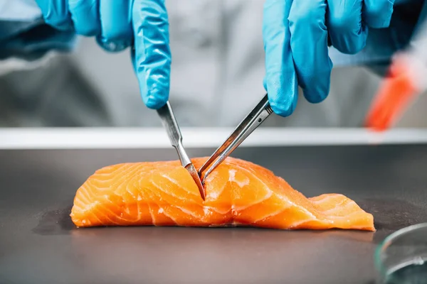 Food Safety Quality Testing Salmon Fish Laboratory Technician Taking Salmon — Stock Fotó